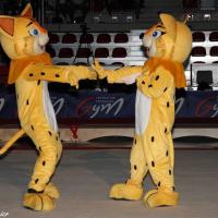 13330897_532195500238975_9146727234506942090_n