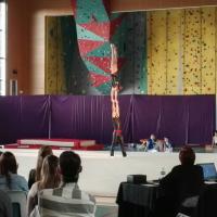 13458789_1750215598527483_7724019703482886500_o