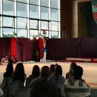 13490848_1750215561860820_9114295474829573395_o