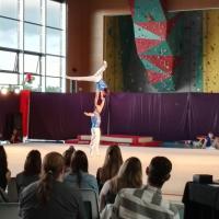 13495571_1750215621860814_6964021706187805629_o