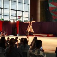 13497786_1750215648527478_8191667496887362832_o