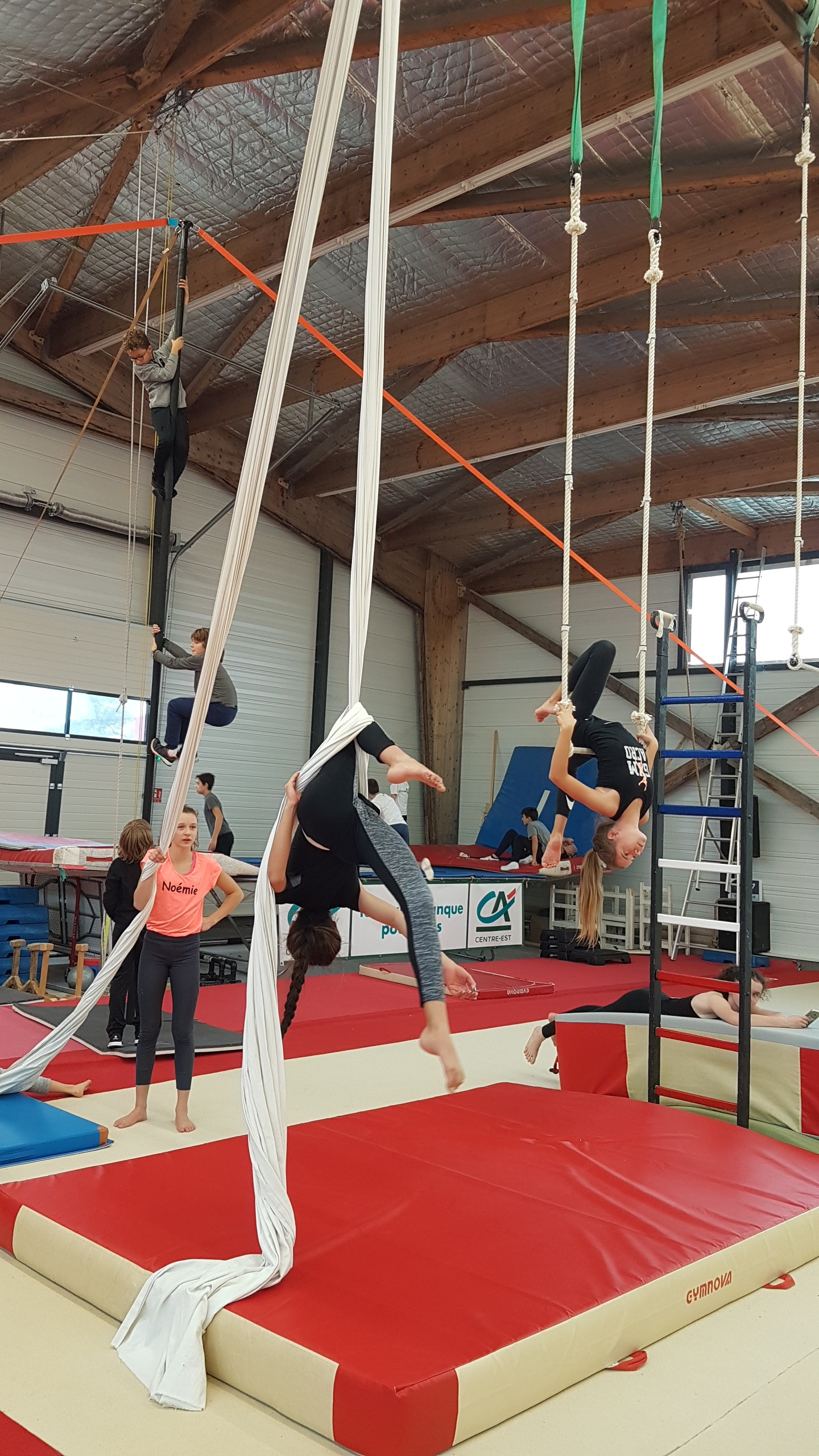 Cirque et Freestyle