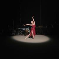 2018_01_ACROBATIC SHOW #2_-®FA_FOR WEB-113 - Copie