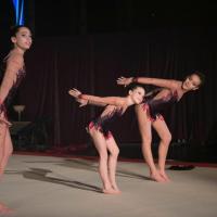 2018_01_ACROBATIC SHOW #2_-®FA_FOR WEB-98
