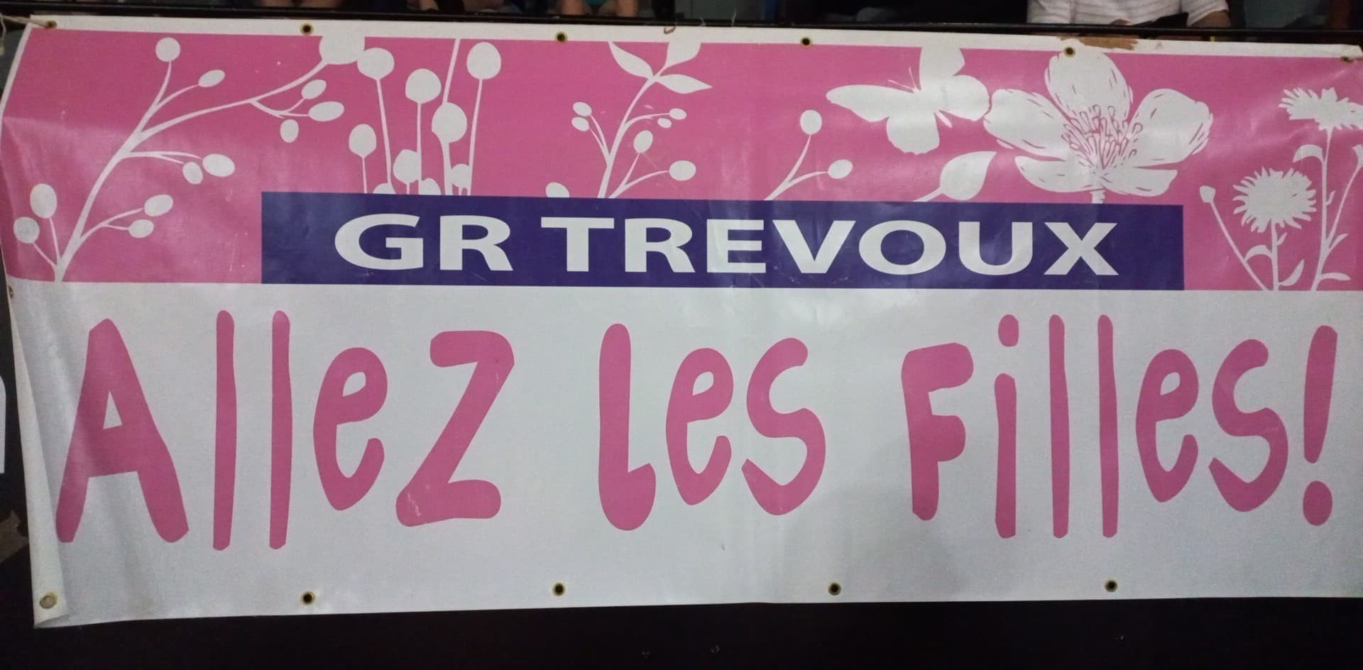 Chpt de France GR - CHAMBERY 10-12 JUIN 